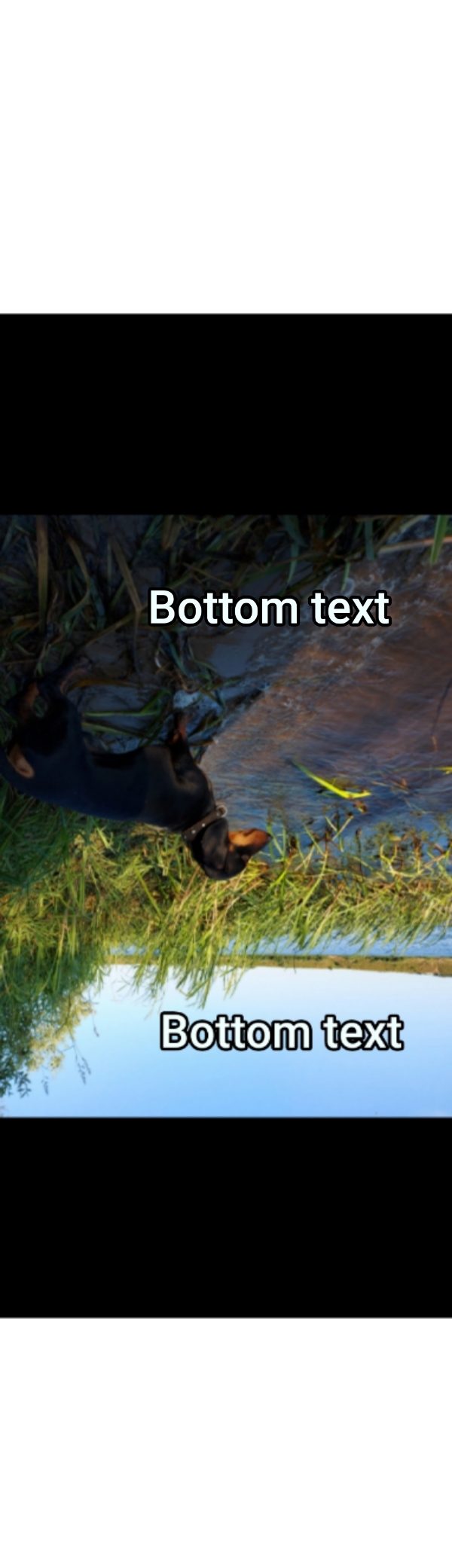 Bottom text 