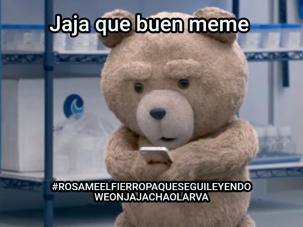 Jaja que buen meme... #ROSAMEELFIERROPAQUESEGUILEYENDO WEONJAJACHAOLARVA