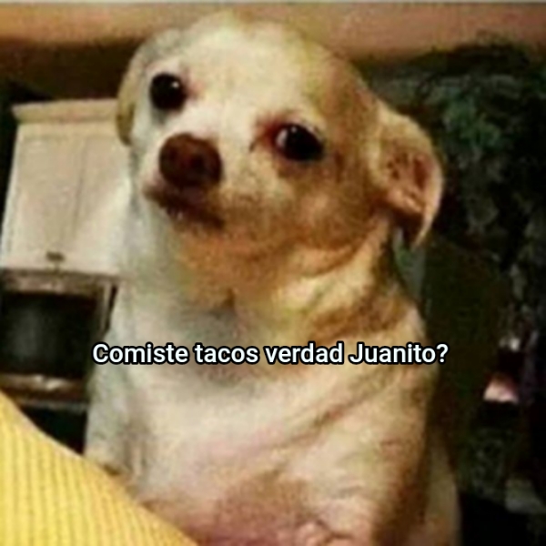 Comiste tacos verdad Juanito? 