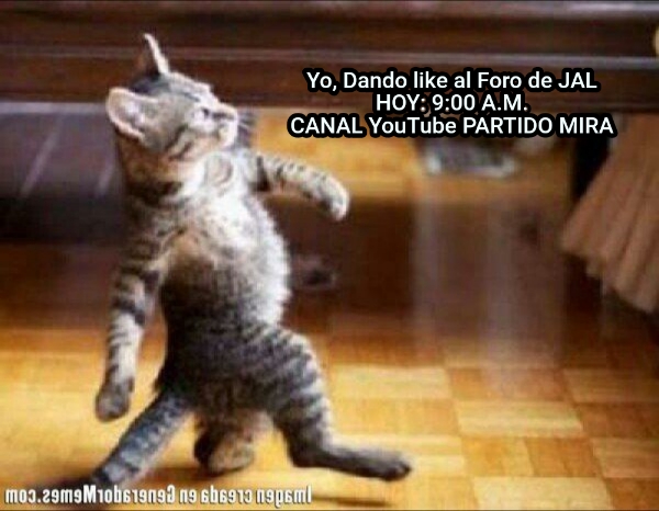 Yo, Dando like al Foro de JAL HOY: 9:00 A.M. CANAL YouTube PARTIDO MIRA 