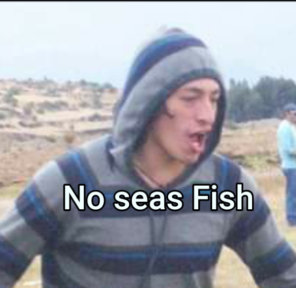 ... No seas Fish