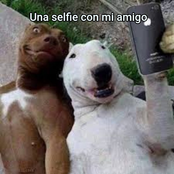Una selfie con mi amigo