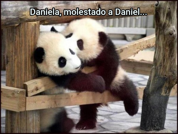 Daniela, molestado a Daniel...