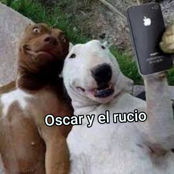 Oscar y el rucio 