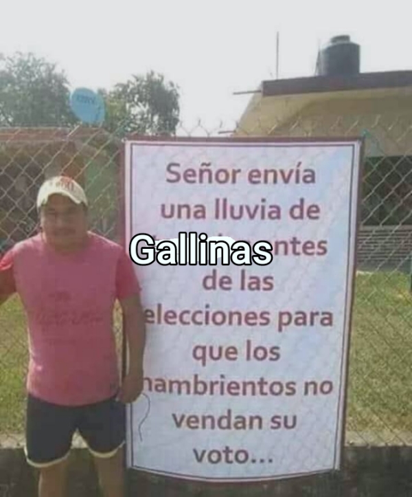 ... Gallinas 