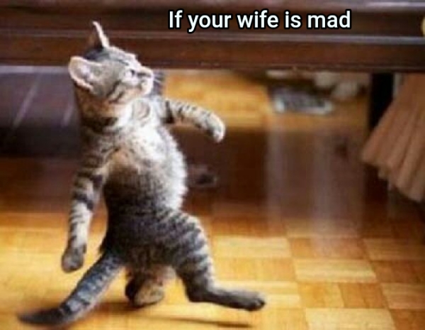 If your wife is mad 