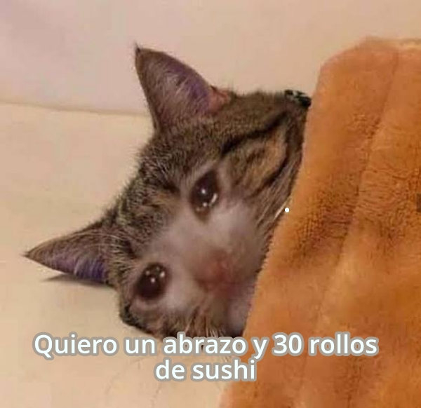 Quiero un abrazo y 30 rollos de sushi 