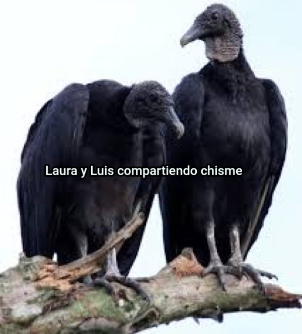 ... Laura y Luis compartiendo chisme 