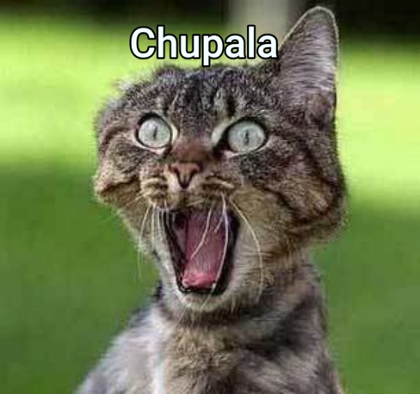 Chupala 