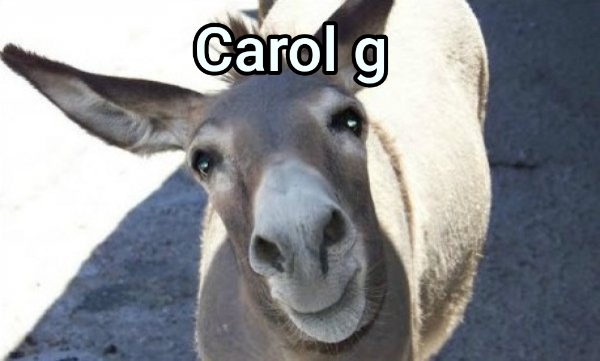 Carol g 